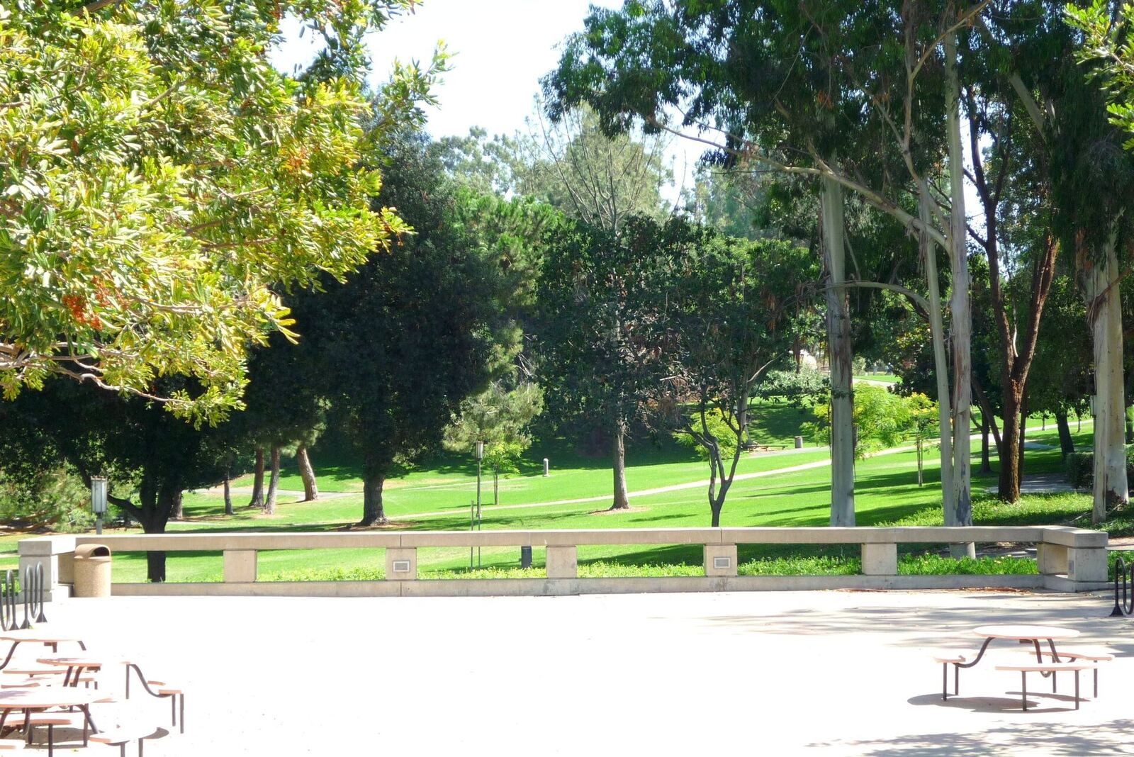 UC Irvine 校园 Aldrich Park 资料图（图库照片）