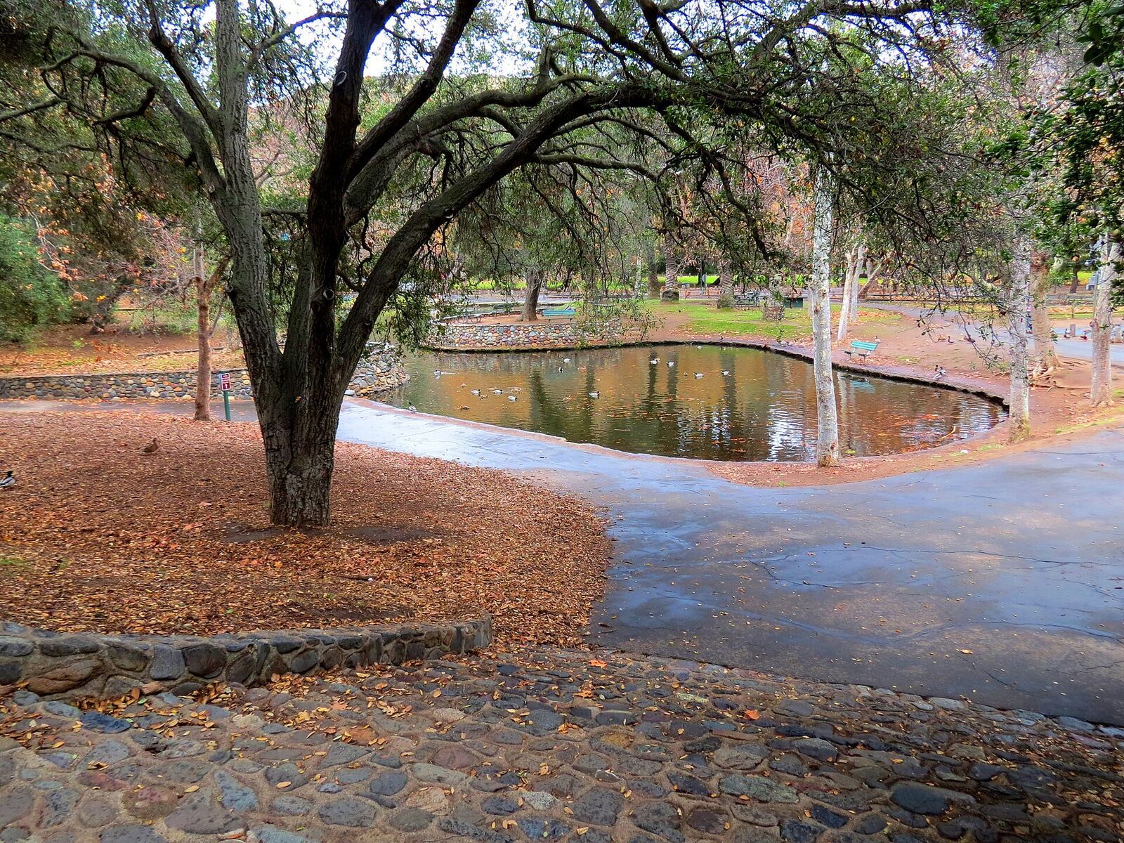 橙县县立公园 Irvine Regional Park 资料图（Wikimedia Commons）