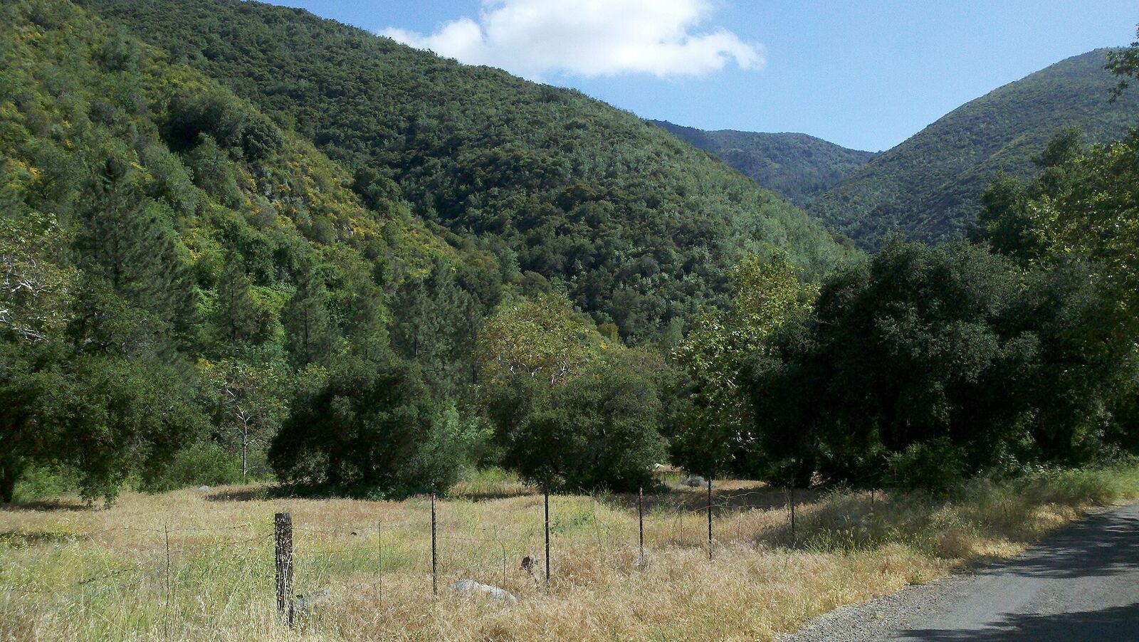 Silverado Canyon 山谷风光，资料图（Wikimedia Commons）