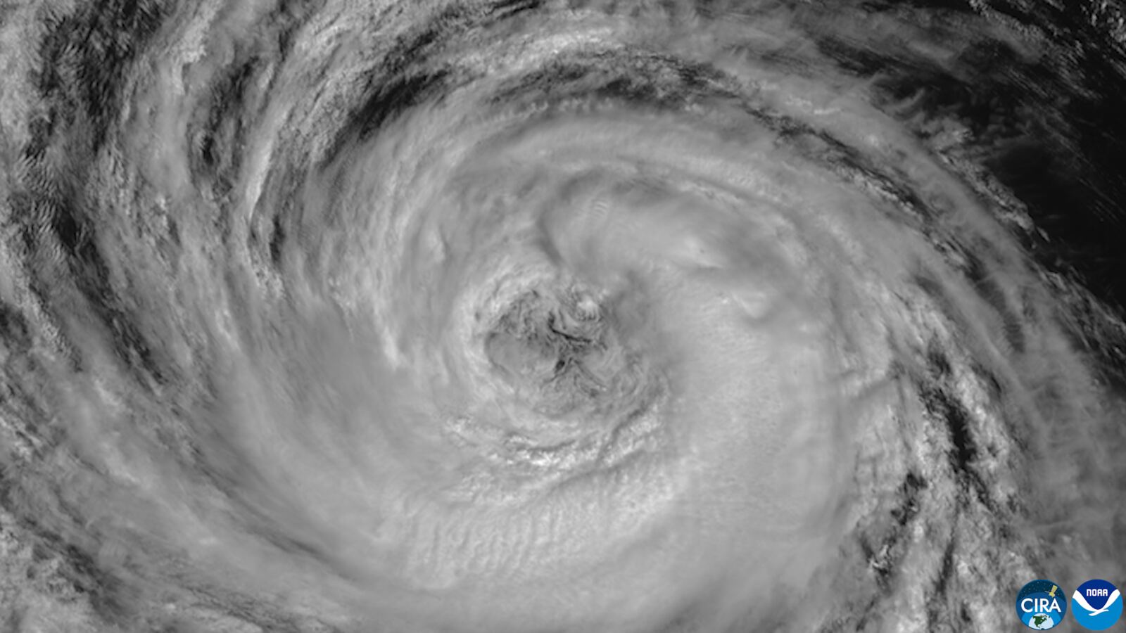 10月7日 GOES 卫星拍摄的飓风 Rachel 风眼（NOAA / CSU CIRA）