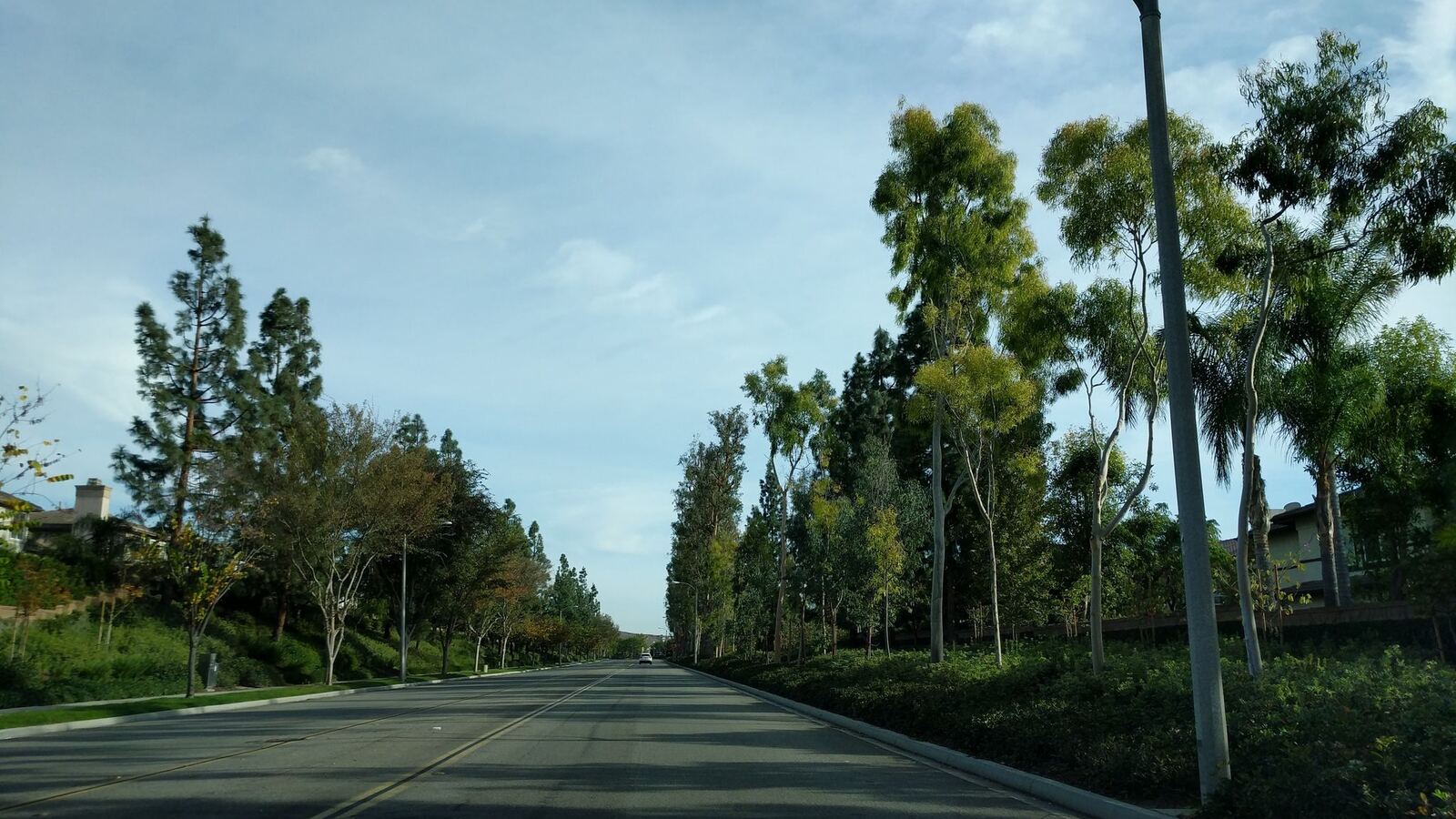 Northwood Pointe Arborwood 街景（2017 年）