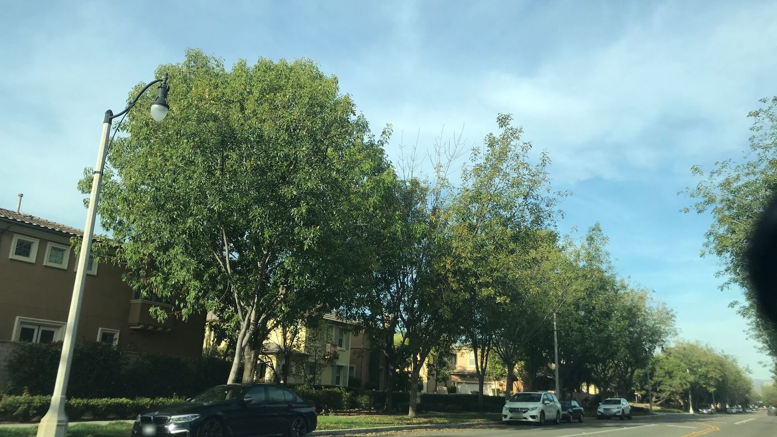 Woodbury Groveland 街景（2019 年）